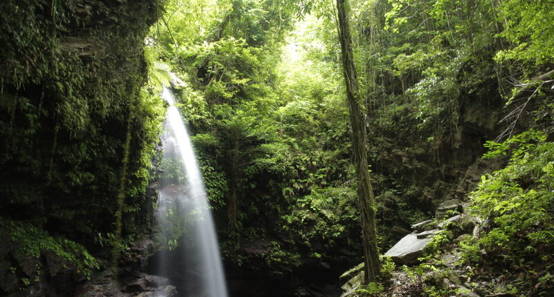 Air Terjun Waisia
