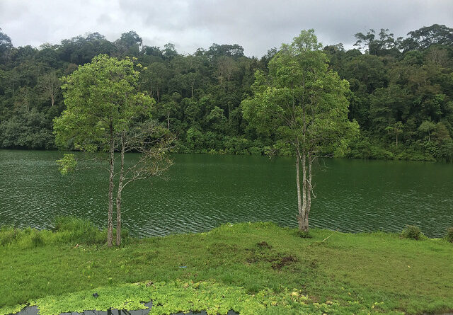 Bukit Duabelas Jambi