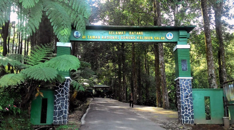 Gunung Halimun Salak