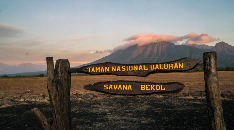 Taman Nasional Baluran