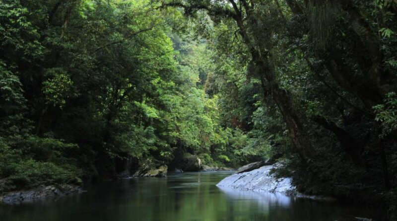 Taman Nasional Betung Kerihun