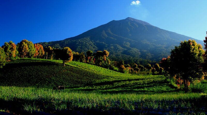 Taman Nasional Kerinci Seblat