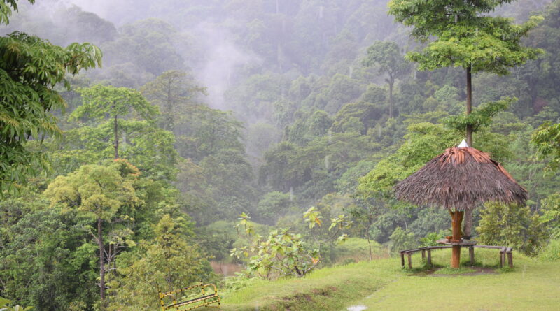 taman nasional bukit tigapuluh