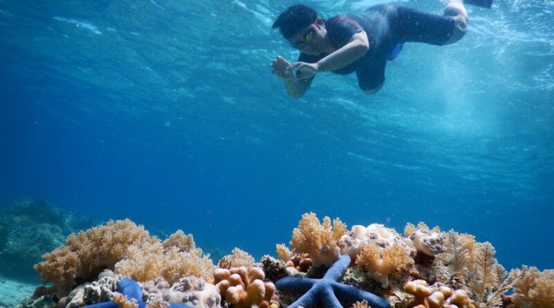 Ekowisata Laut