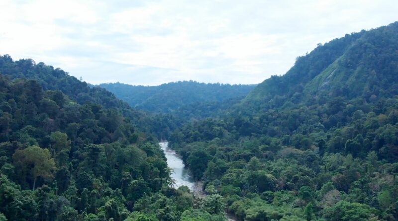 Taman Nasional Bogani