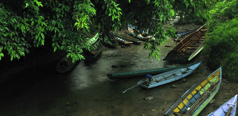 Taman Nasional Kayan Mentarang