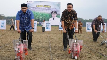 Ilustrasi lahan tidur untuk artikel Wagub Jateng Apresiasi Pemanfaatan 57 Hektare Lahan Tidur